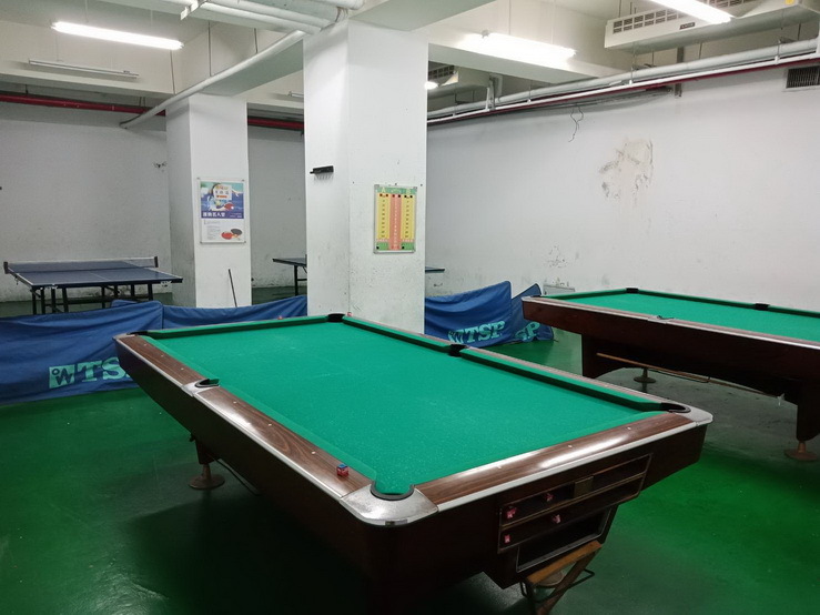 Table Tennis / Billard Room